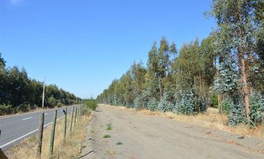 Agrícola en Venta en Laja