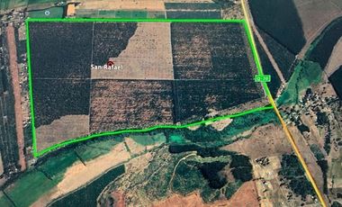 Agrícola en Venta en Laja