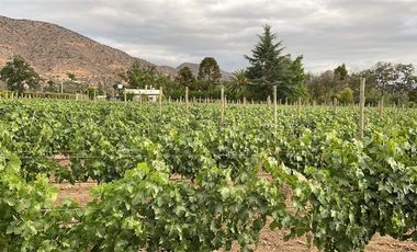 Casa en Venta en Variante Estero Puángüe