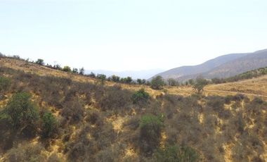 Sitio en Venta en Melipilla