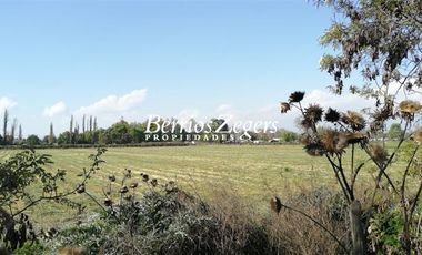 Agrícola en Venta en Avenida Américo Vespucio