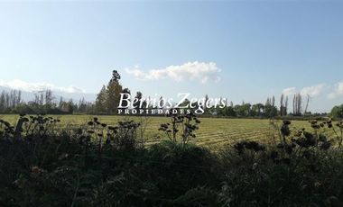 Agrícola en Venta en Avenida Américo Vespucio