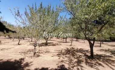 Casa en Venta en La Viña Curacavi