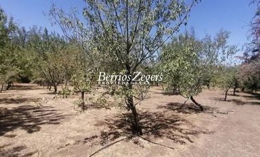 Casa en Venta en La Viña Curacavi