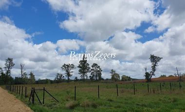 Sitio en Venta en Carretera V46