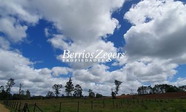 Sitio en Venta en Carretera V46