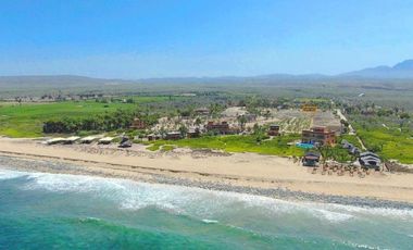 La Pastora Beach Agave Fields