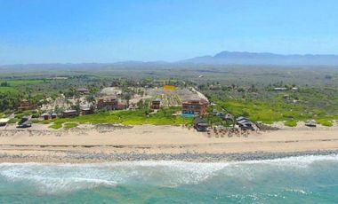 La Pastora Beach Agave Fields