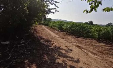 HECTAREAS EN VENTA