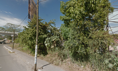 LOTE CEDRO