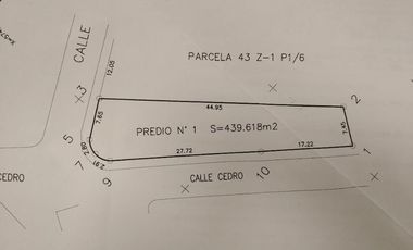 LOTE CEDRO