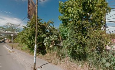 LOTE CEDRO