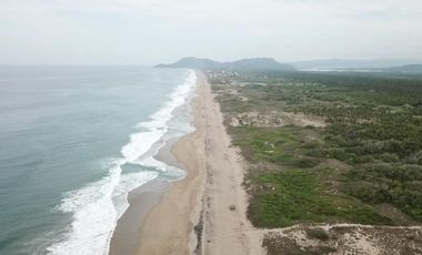 LOTE BARRA COLIMILLA