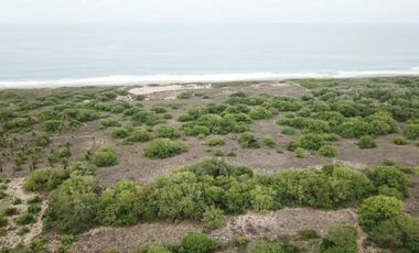 LOTE BARRA COLIMILLA