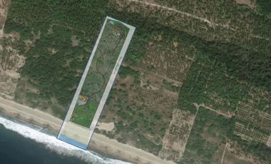 LOTE BARRA COLIMILLA