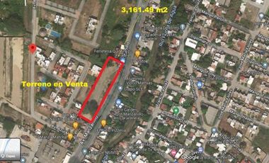 LOTE MANZANILLO