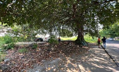 LOTE MANZANILLO