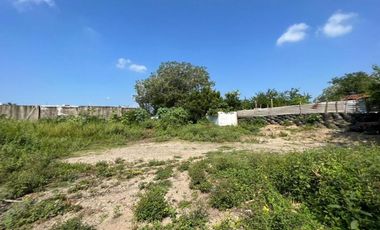 LOTE MANZANILLO