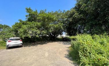 LOTE MANZANILLO