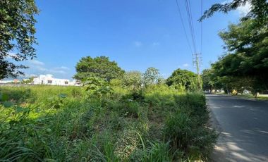 LOTE MANZANILLO