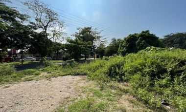 LOTE MANZANILLO