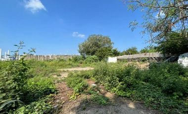 LOTE MANZANILLO