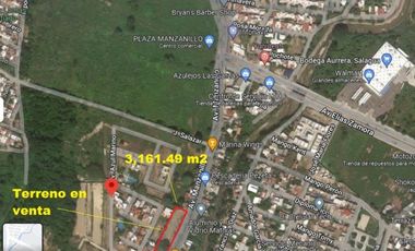 LOTE MANZANILLO