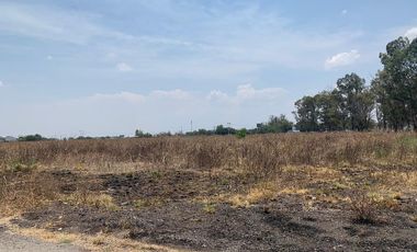 Terreno Industrial Renta La piedad