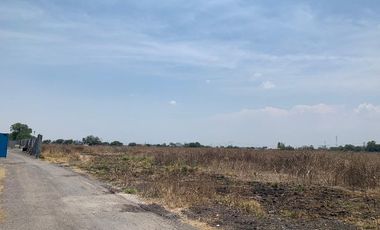 Terreno Industrial Renta La piedad