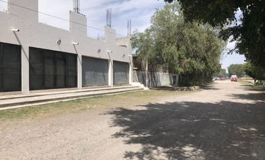 Local comercial en renta