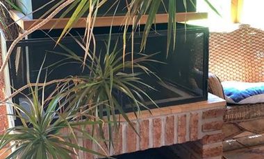 Casa en Arriendo en COMUNIDAD ECOLOGICA SANTA SOFÍA
