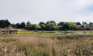Sitio en Venta en PUNTA DE LOBOS-PICHILEMU