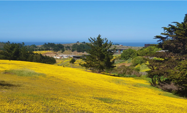 Sitio en Venta en PUNTA DE LOBOS-PICHILEMU