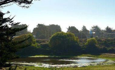 Sitio en Venta en PUNTA DE LOBOS-PICHILEMU