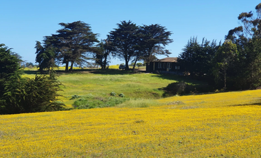Sitio en Venta en PUNTA DE LOBOS-PICHILEMU