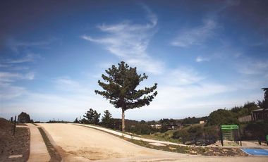 Sitio en Venta en PUNTA DE LOBOS-PICHILEMU
