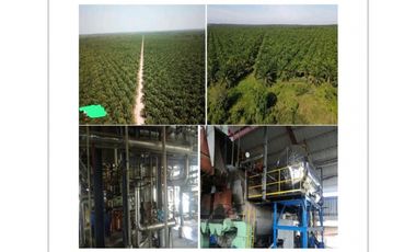 FINCA PALMERA EN VENTA, VIA PUERTO GAITAN - RUBIALES