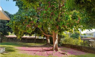 VILLA ZAITA / USO COMERCIAL O RESIDENCIAL / 1600M2 / 5 HAB / TERRAZAS