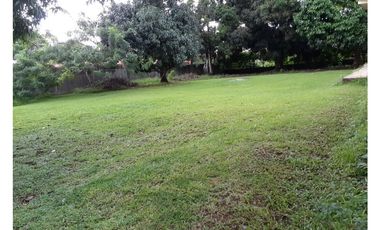 VILLA ZAITA / USO COMERCIAL O RESIDENCIAL / 1600M2 / 5 HAB / TERRAZAS