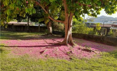 VILLA ZAITA / USO COMERCIAL O RESIDENCIAL / 1600M2 / 5 HAB / TERRAZAS