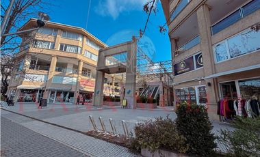 DEPARTAMENTO 226 MONOABIENTE CON DIVISION EN ALQUILER - PASEO EL AGORA