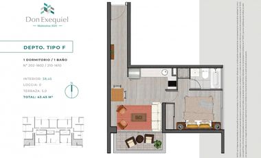 Exequiel Fernandez/Av. Macul - Departamento - Venta