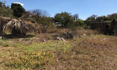 Locales comerciales con terreno en venta - (3)