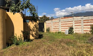 Locales comerciales con terreno en venta - (3)