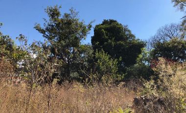 Locales comerciales con terreno en venta - (3)