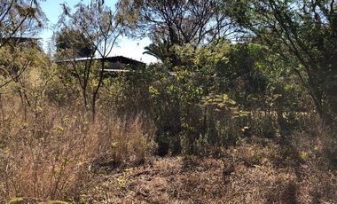 Locales comerciales con terreno en venta - (3)