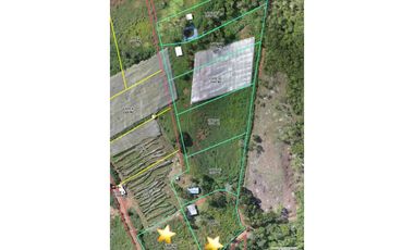 VENTA DE LOTES  EN LA CUMBRE VALLE DEL CAUCA