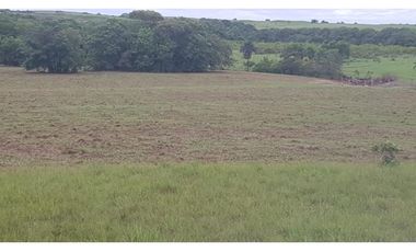 FINCA DE 8.640 HECTAREAS EN VENTA, VICHADA