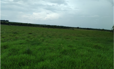 FINCA DE 8.640 HECTAREAS EN VENTA, VICHADA