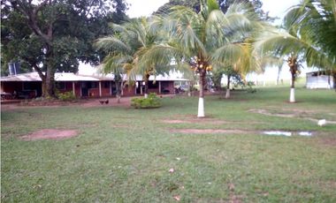 FINCA PALMERA DE 4.800 HECTAREAS EN VENTA, PUERTO LOPEZ META
